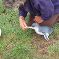 DSC00415